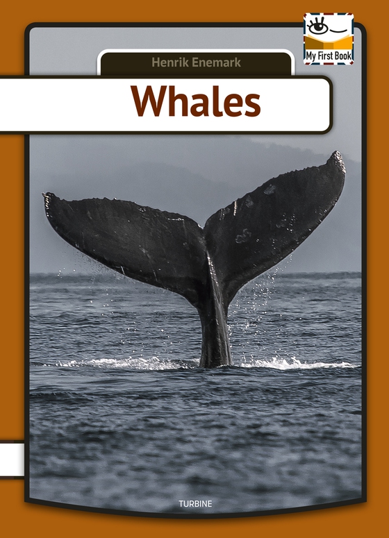 Whales