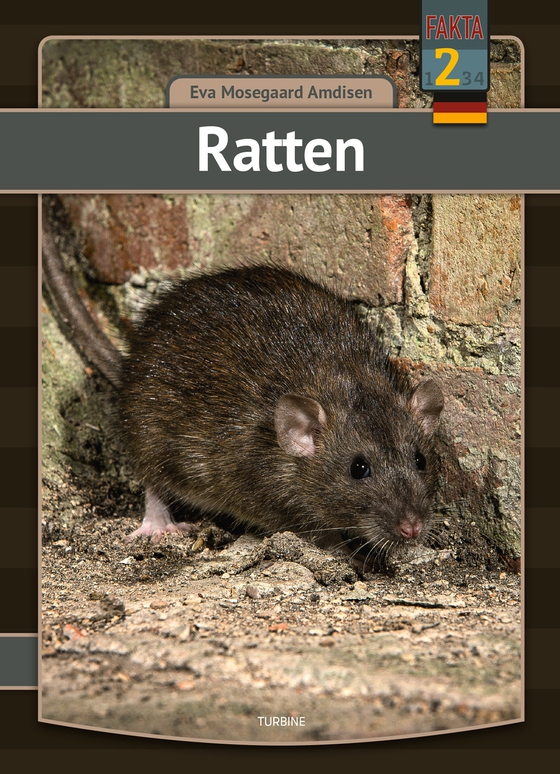 Ratten