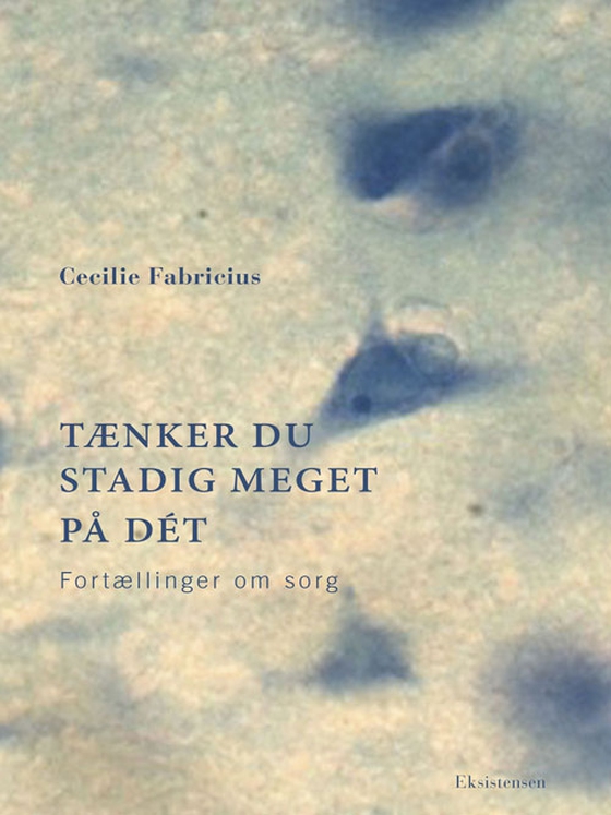 Tænker du stadig meget på det - Fortællinger om sorg (e-bog) af Cecilie Fabricius