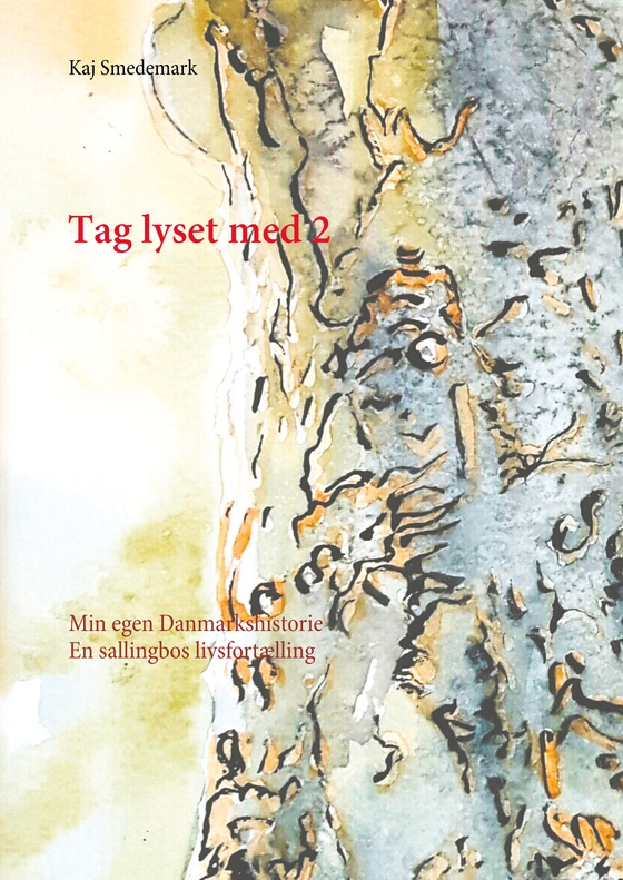 Tag lyset med 2 - Min egen Danmarkshistorie En sallingbos livsfortælling (e-bog) af Kaj Smedemark