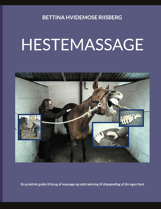 Hestemassage - En praktisk guide til brug af massage og udstrækning til afspænding af din egen hest (e-bog) af Bettina Hvidemose Pedersen