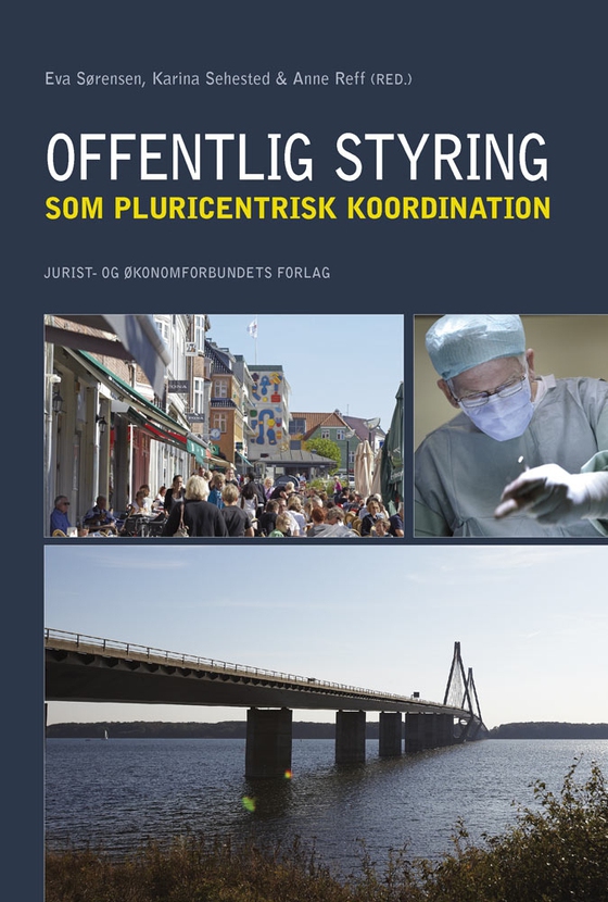 Offentlig styring som pluricentrisk koordination - Et studie af Region Sjælland (e-bog) af Anne Reff (red.)