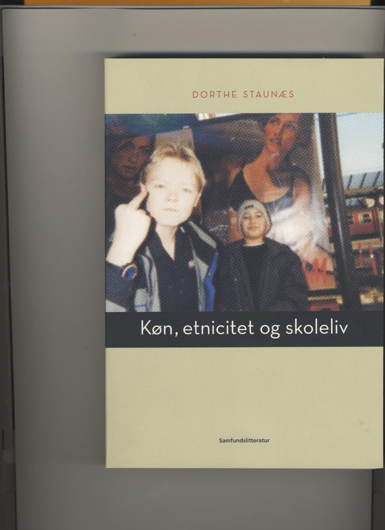 Køn, etnicitet og skoleliv (e-bog) af Dorthe Staunæs