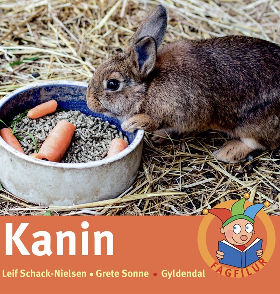 Kanin - Lyt&læs (e-bog) af Leif Schack-Nielsen