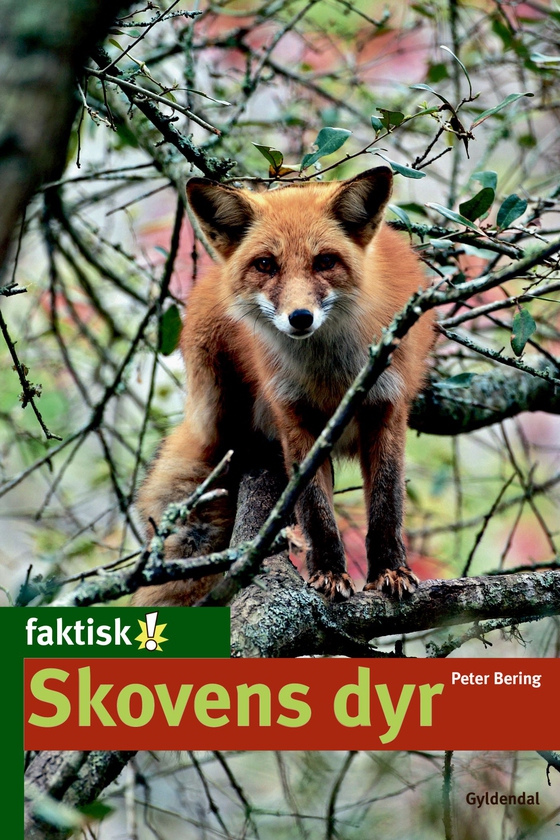 Skovens dyr - Lyt&læs (e-bog) af Peter Bering