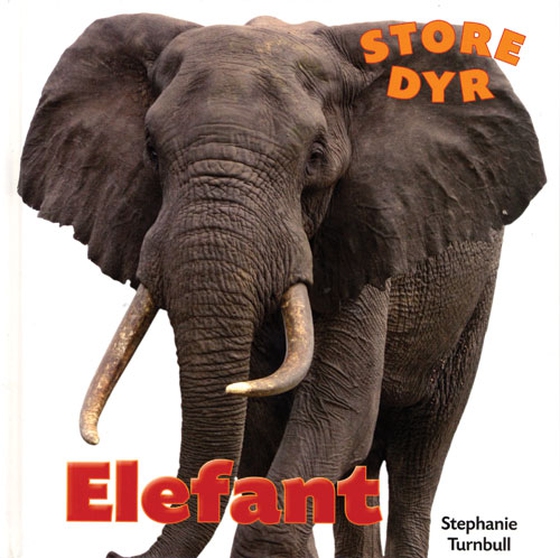 Elefant