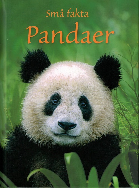 Pandaer (e-bog) af James Maclaine