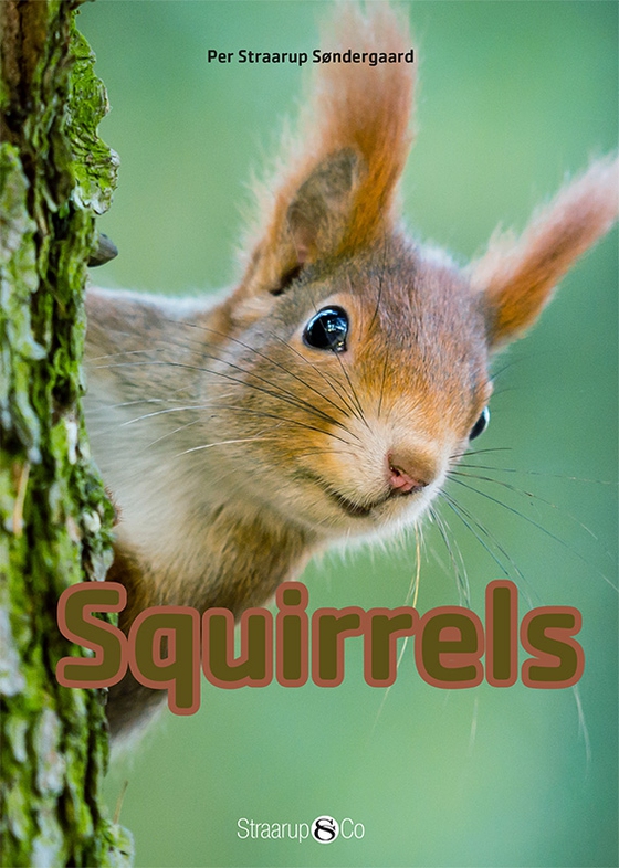 Squirrels