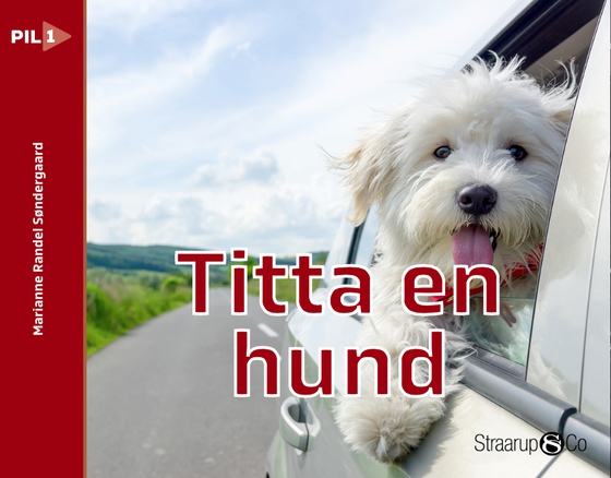 Titta en hund (svensk) (e-bog) af Marianne Randel Søndergaard