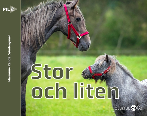 Stor och liten (svensk)