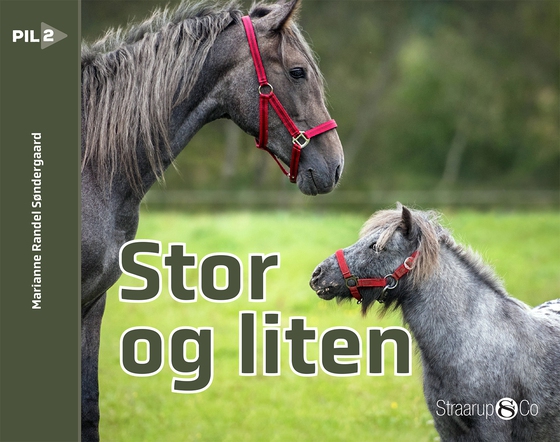 Stor og liten (norsk)