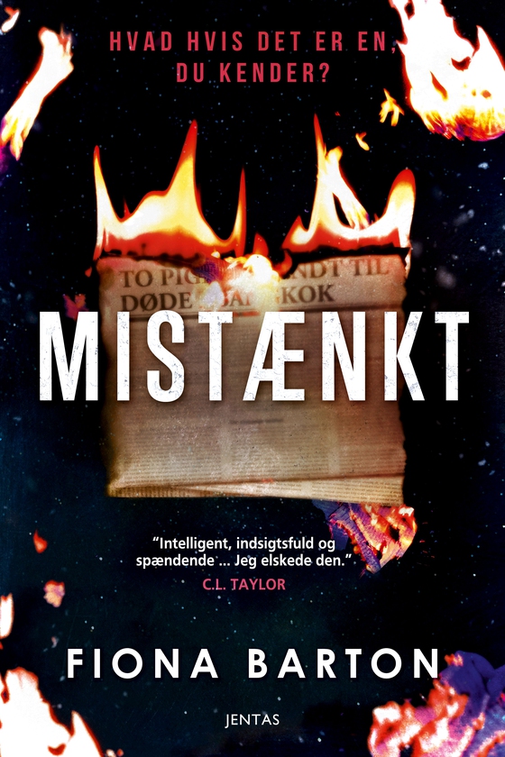 Mistænkt (e-bog) af Fiona Barton