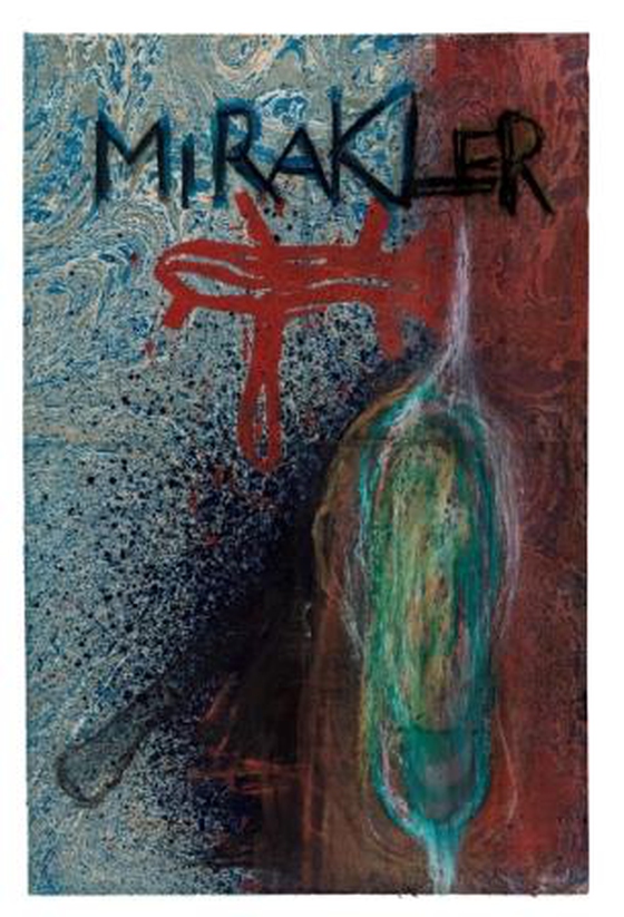 Mirakler (e-bog) af n a