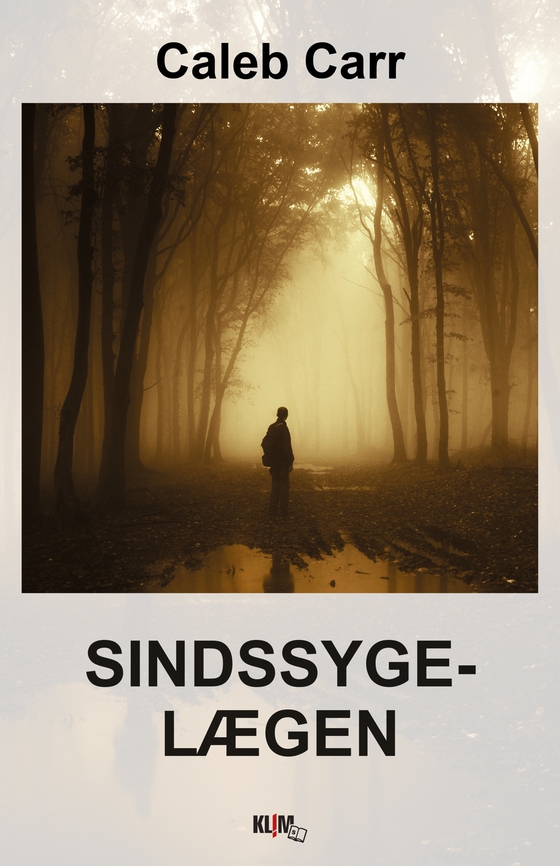 Sindssygelægen