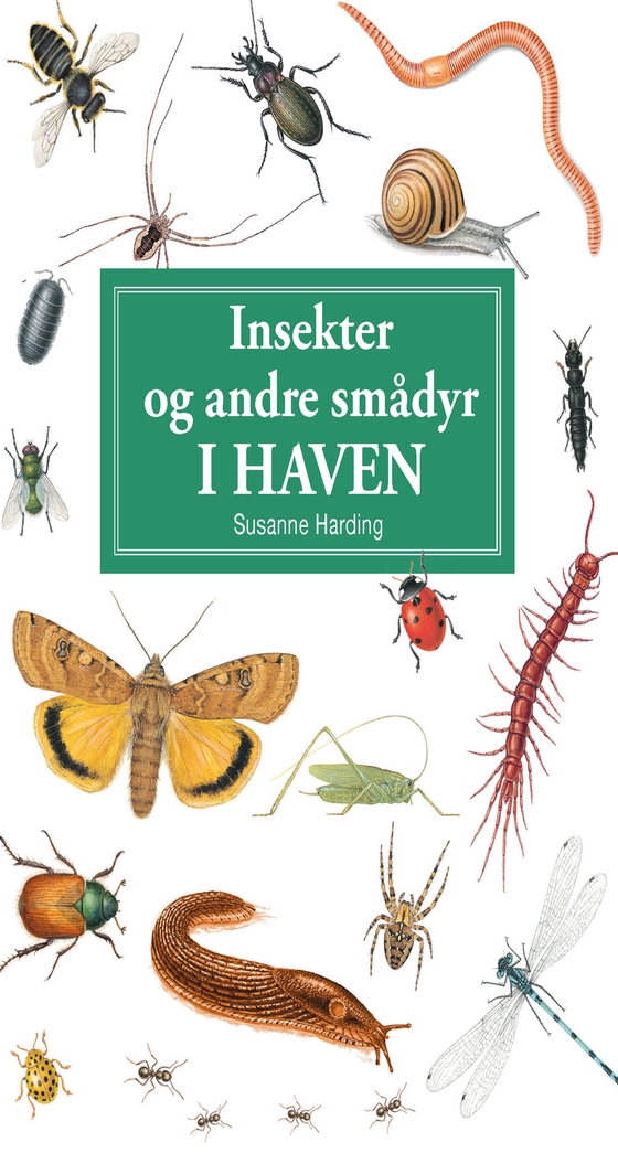 Insekter og andre smådyr i haven