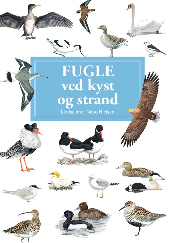 Fugle ved kyst og strand