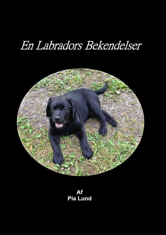 En Labradors Bekendelser (e-bog) af Gitte Ahrenkiel