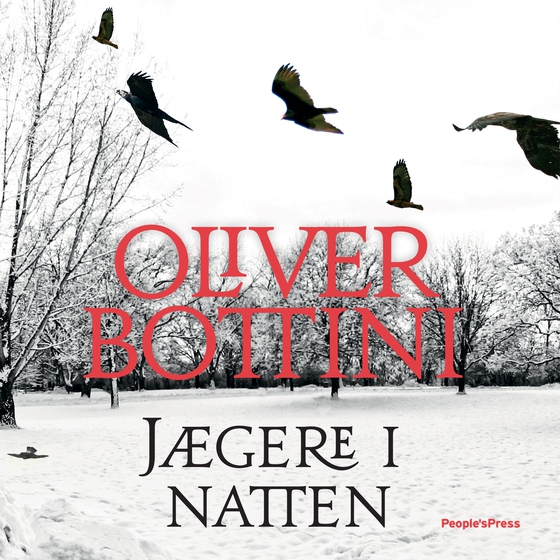 Jægere i natten (lydbog) af Oliver Bottini