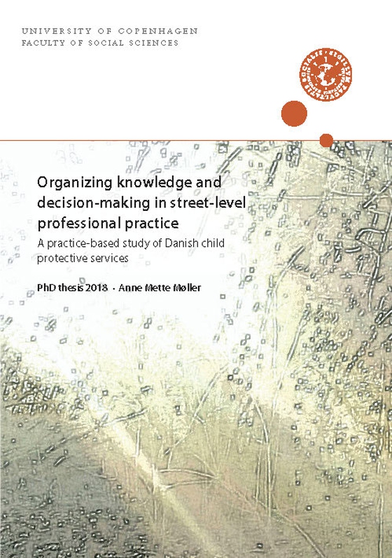 Organizing knowledge and decision-making in street-level professional practice