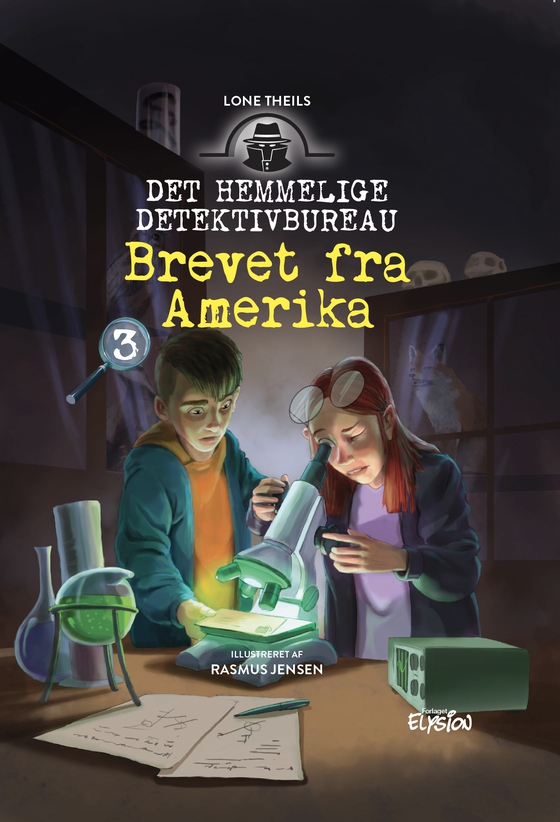 Brevet fra Amerika (e-bog) af Lone Theils