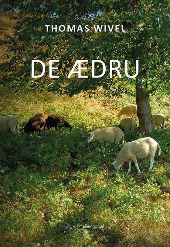 De ædru (e-bog) af Thomas Wivel
