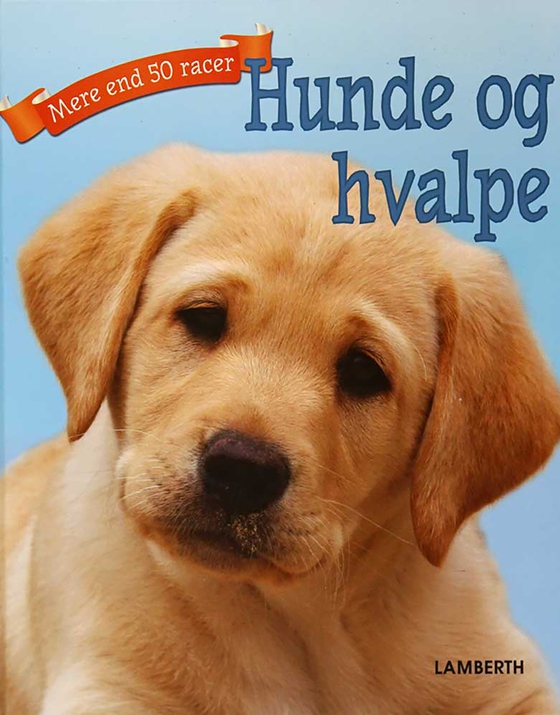 Hunde og hvalpe