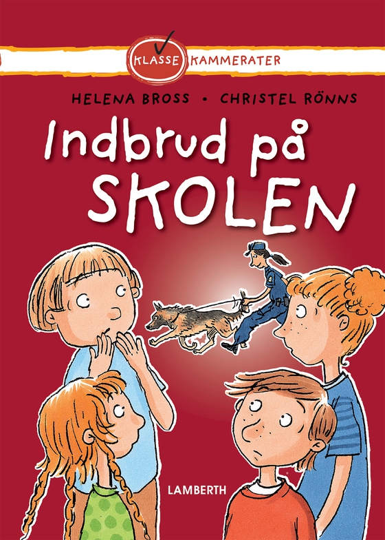 Indbrud på skolen (e-bog) af Helena Bross