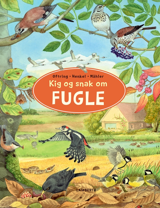 Kig og snak om fugle (e-bog) af Bärbel Oftring