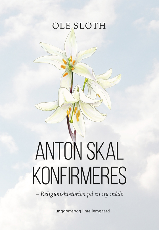 Anton skal konfirmeres - Religionshistorien på en ny måde (e-bog) af Ole Sloth