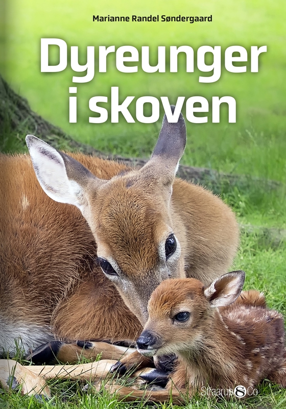 Dyreunger i skoven (e-bog) af Marianne Randel Søndergaard