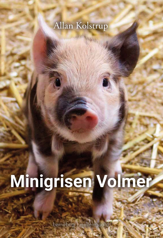 Minigrisen Volmer (e-bog) af Allan Kolstrup