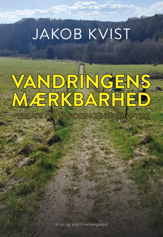 Vandringens mærkbarhed - essays om vandringens metafysik (e-bog) af Jakob Kvist