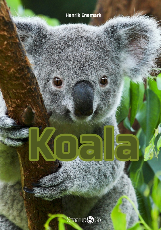 Koala (e-bog) af Henrik Enemark