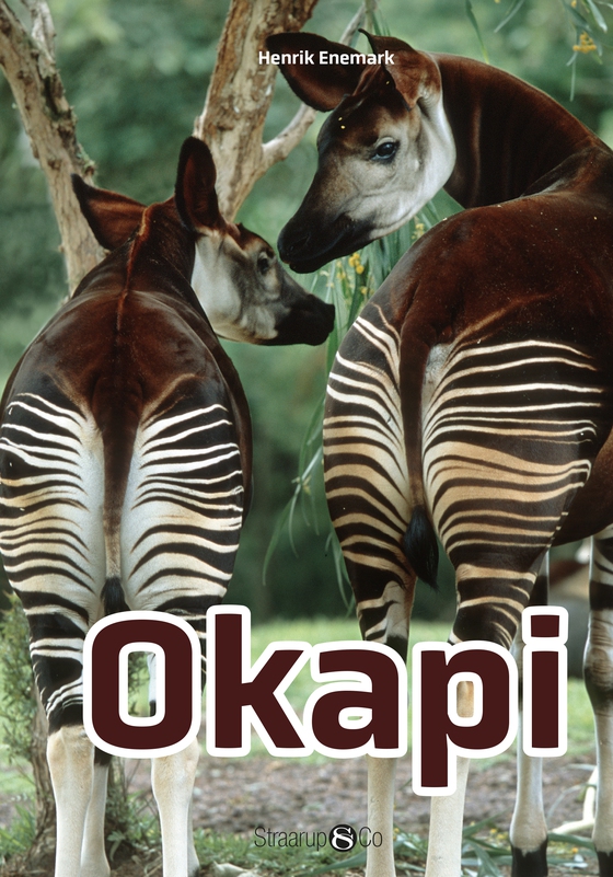 Okapi  (e-bog) af Henrik Enemark