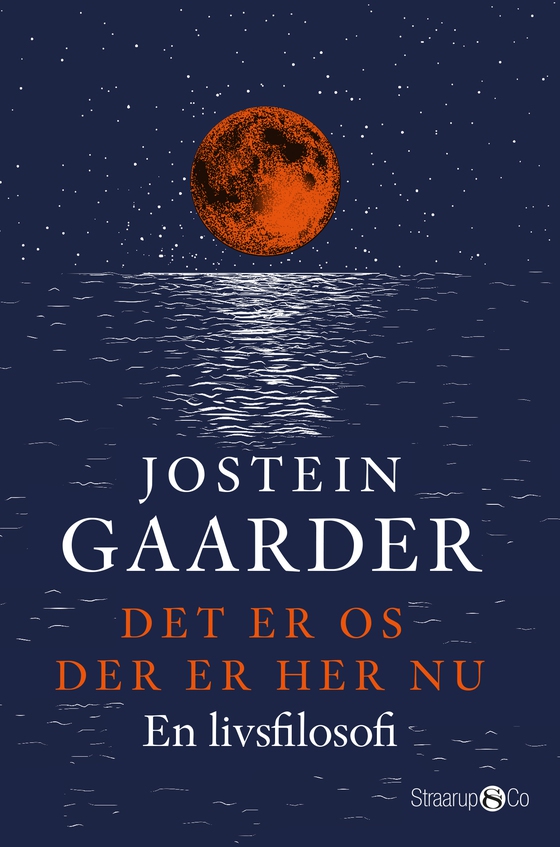 Det er os der er her nu (lydbog) af Jostein Gaarder