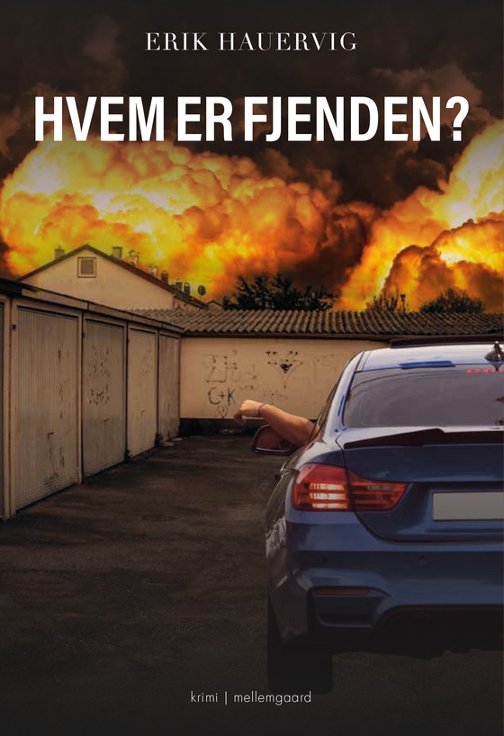 HVEM ER FJENDEN? (e-bog) af Erik Hauervig