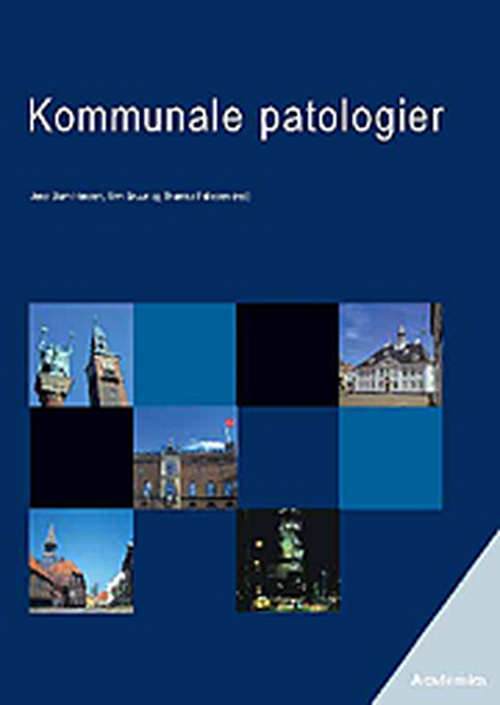 Kommunale patologier - Traditionelle og utraditionelle organisationsformer i den kommunale verden (e-bog) af Lone Andersen