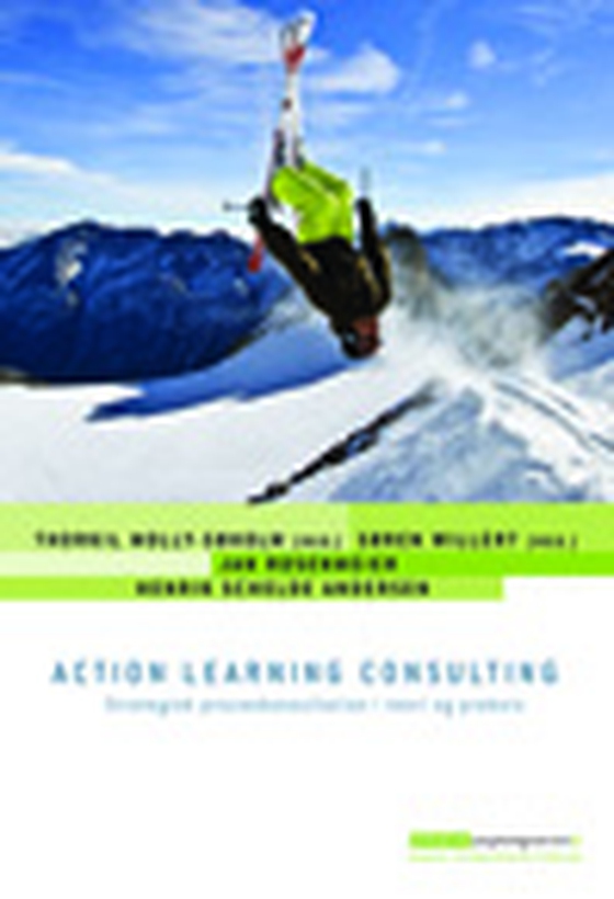 Action Learning Consulting