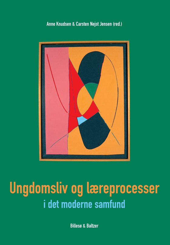 Ungdomsliv og læreprocesser i det moderne samfund (e-bog) af Johannes Andersen