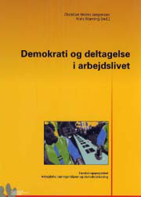 Demokrati og deltagelse i arbejdslivet (e-bog) af Vibeke Andersen
