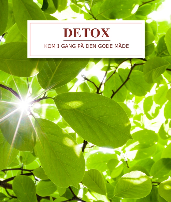 Detox - kom i gang på den gode måde (e-bog) af Anette Paulin