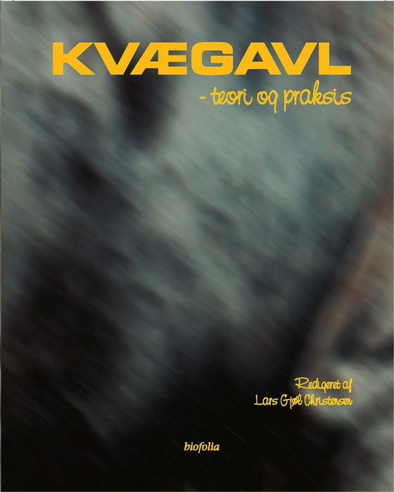 Kvægavl