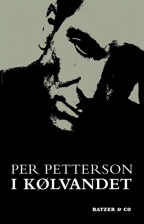 I kølvandet (e-bog) af Per Petterson