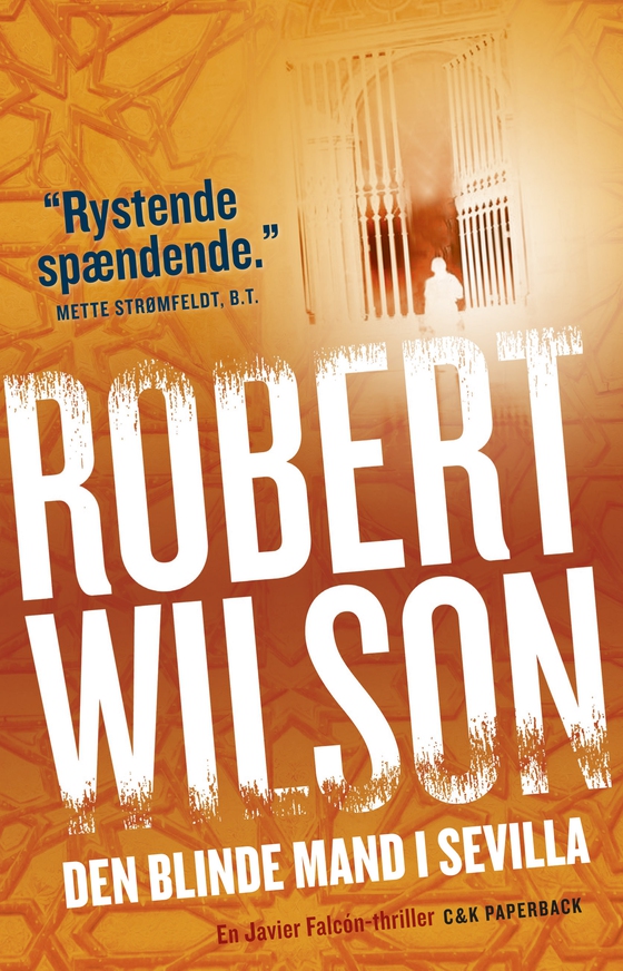 Den blinde mand i Sevilla - En Javier Falcón-krimi (e-bog) af Robert Wilson