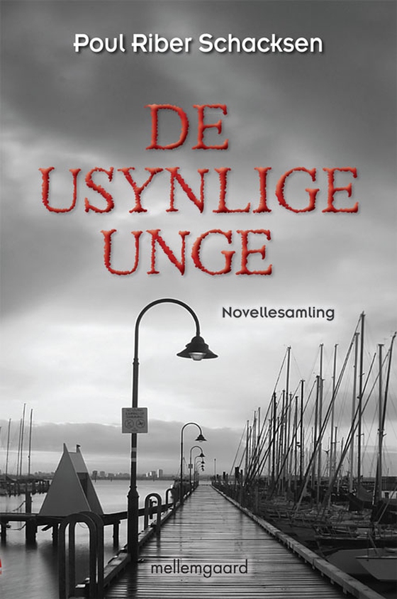 De usynlige unge (e-bog) af Poul Riber Schacksen