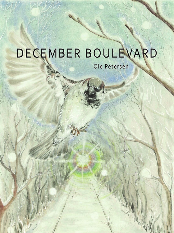 December Boulevard (e-bog) af Ole Petersen