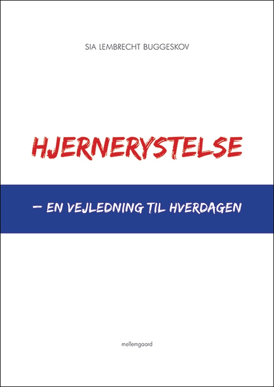 Hjernerystelse – en vejledning til hverdagen (e-bog) af Sia Lembrecht Buggeskov