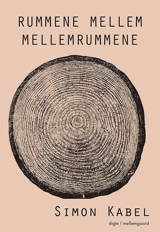 Rummene mellem mellemrummene (e-bog) af Simon Kabel