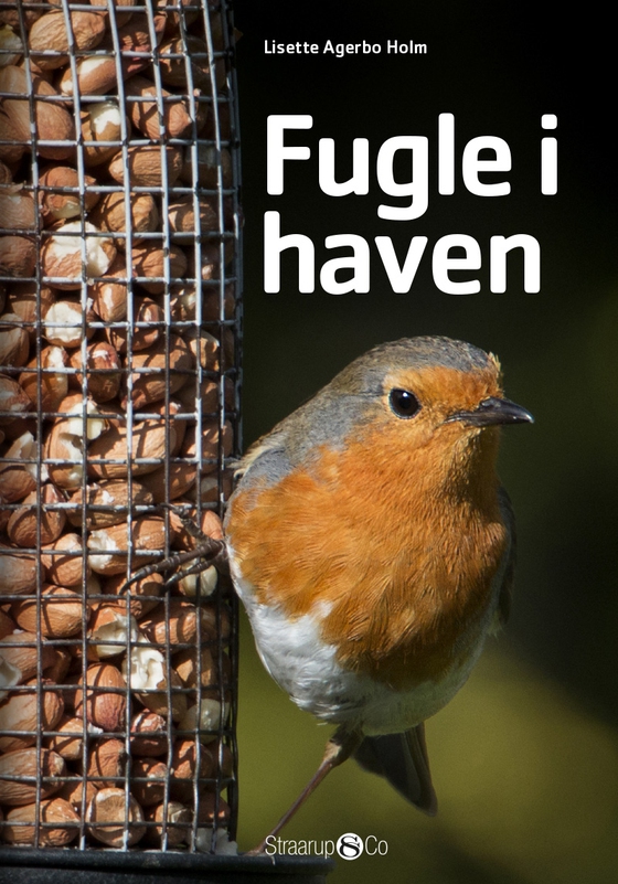 Fugle i haven (e-bog) af Lisette Agerbo Holm
