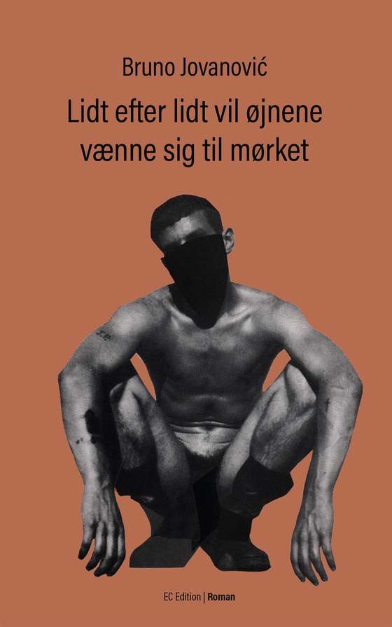 Lidt efter lidt vil øjnene vænne sig til mørket (e-bog) af Bruno Jovanović